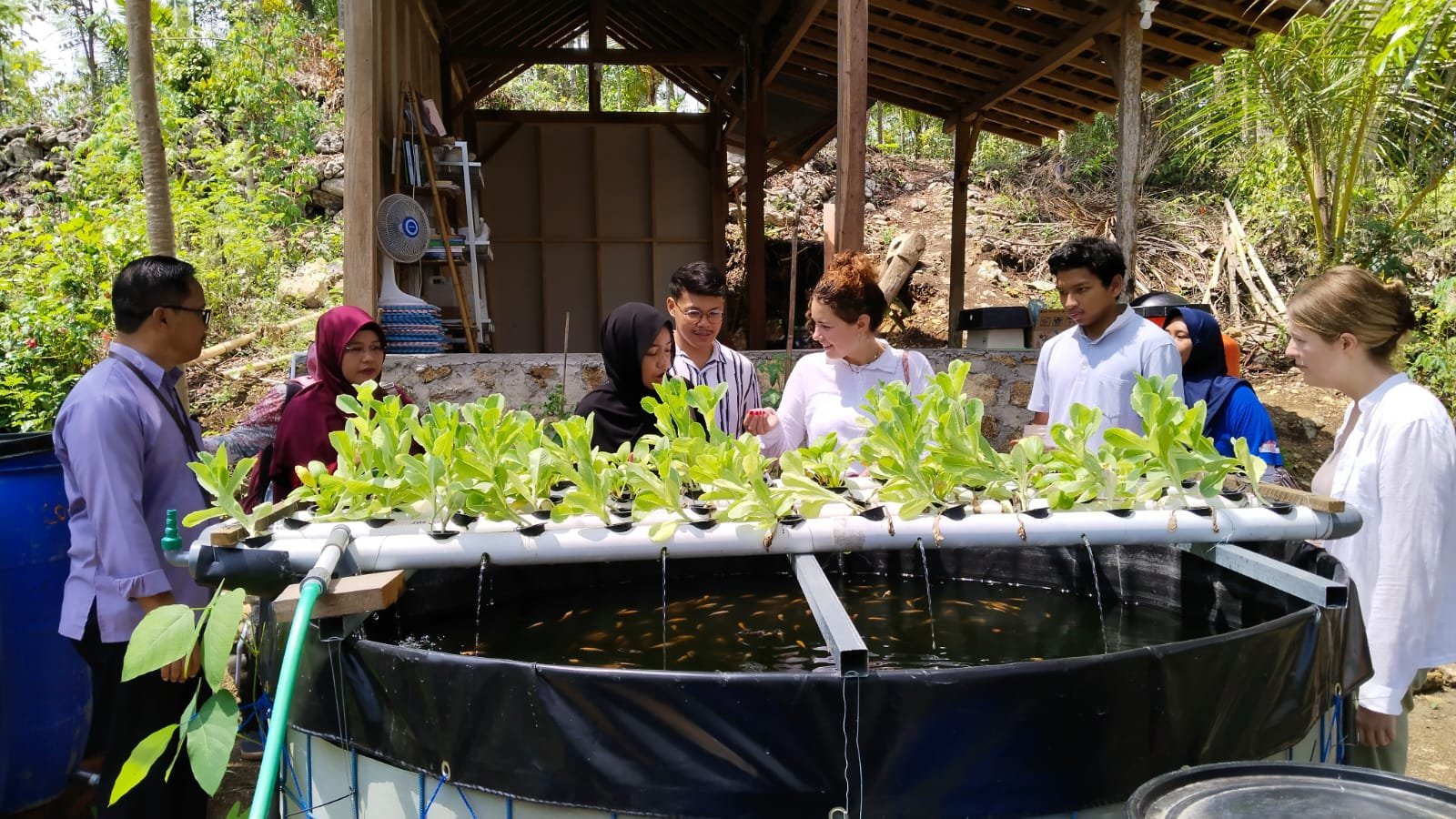 Pengunjung dan warga belajar budidaya sayur hidroponik dan kolam ikan terpadu